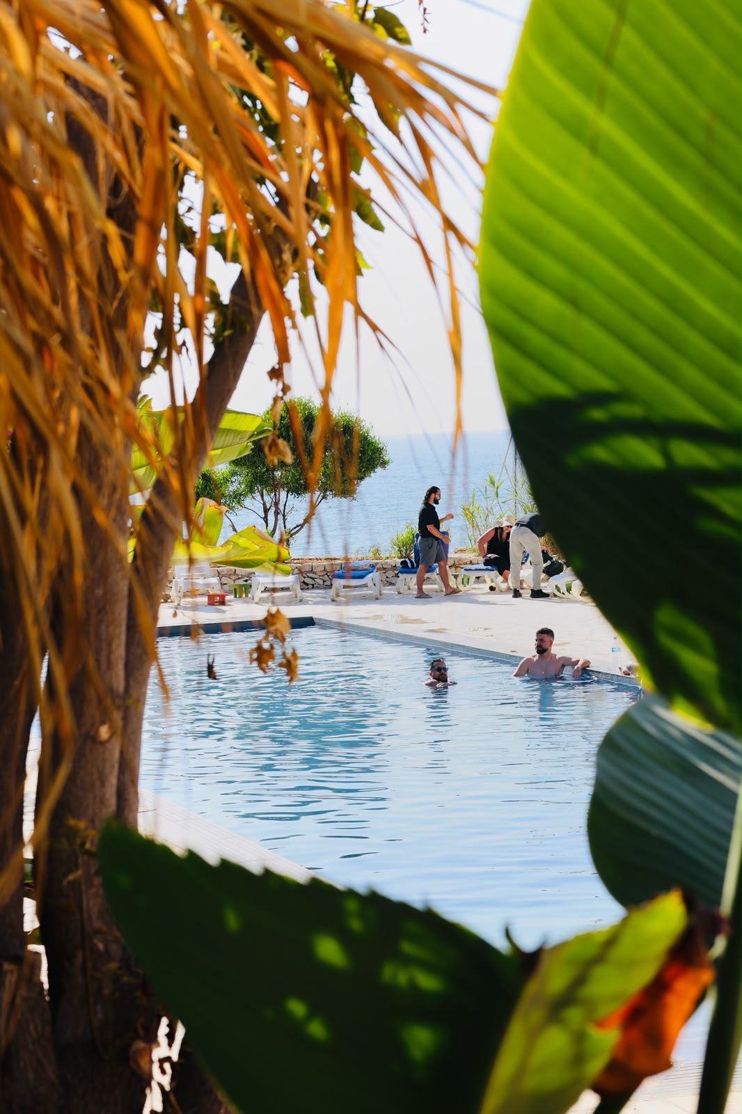 Guests swimming in the Side B pool framed by tropical palms